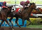 Cool Coal Man has won four of five starts at Gulfstream Park.<br><a target="blank" href="http://www.bloodhorse.com/horse-racing/photo-store?ref=http%3A%2F%2Fpictopia.com%2Fperl%2Fgal%3Fprovider_id%3D368%26ptp_photo_id%3D3670145%26ref%3Dstory">Order This Photo</a>