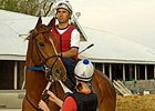Old, Young to Run in Gold Cup 'Cap Old, Young to Run in Gold Cup 'Cap