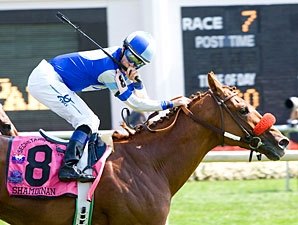 Shamdinan Tops San Juan Capistrano Cast Shamdinan Tops San Juan Capistrano Cast