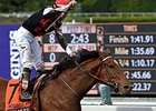 Texas Red
<br><a target="blank" href="http://photos.bloodhorse.com/BreedersCup/2014-Breeders-Cup/Juvenile/i-GVX9LqL">Order This Photo</a>