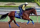 One Lucky Dane<br><a target="blank" href="http://photos.bloodhorse.com/BreedersCup/2014-Breeders-Cup/Works/i-gN892Mw">Order This Photo</a>