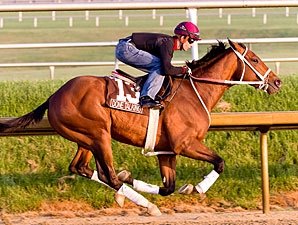 Done Talking Breezed at Laurel Park Done Talking Breezed at Laurel Park
