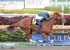 Golden Mystery wins the Hurricane Bertie Stakes.
<br><a target="blank" href="http://photos.bloodhorse.com/AtTheRaces-1/at-the-races-2013/27257665_QgCqdh#!i=2359679725&k=p5f9jVP">Order This Photo</a>