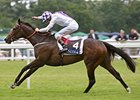 Lush Lashes Dominates Coronation Stakes Lush Lashes Dominates Coronation Stakes