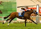 Global Hunter to Stand at Magali Farms Global Hunter to Stand at Magali Farms
