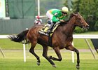 Mystical Star bounds home to win the New York Stakes.<br><a target="blank" href="http://photos.bloodhorse.com/AtTheRaces-1/at-the-races-2012/22274956_jFd5jM#!i=1937195062&k=pCBGgXF">Order This Photo</a>