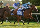 Acoma Returns in Azeri Stakes Acoma Returns in Azeri Stakes