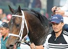 WinStar Farm's Advice makes his turf debut against seven 3-year-old rivals in the Jefferson Cup June 13 at Churchill Downs.
