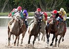 My Pal Chrisy wins the 2012 Elmer Heubeck Distaff Handicap.
