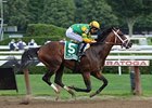 Palace Malice sails to victory in the Jim Dandy.<br><a target="blank" href="http://photos.bloodhorse.com/AtTheRaces-1/at-the-races-2013/27257665_QgCqdh#!i=2660653353&k=sjM6k4k">Order This Photo</a>