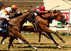 Celtic New Year wins the Del Mar Handicap.
<br><a target="blank" href="http://www.bloodhorse.com/horse-racing/photo-store?ref=http%3A%2F%2Fpictopia.com%2Fperl%2Fgal%3Fprovider_id%3D368%26ptp_photo_id%3D9649244%26ref%3Dstory">Order This Photo</a>