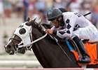 Romacaca tries for her 11th stakes victory of in the Suwannee River Stakes.