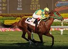 Trip for A. J. strides away to victory in the Sunshine Millions Filly and Mare Turf.<br><a target="blank" href="http://www.bloodhorse.com/horse-racing/photo-store?ref=http%3A%2F%2Fpictopia.com%2Fperl%2Fgal%3Fprovider_id%3D368%26ptp_photo_id%3D9387834%26ref%3Dstory">Order This Photo</a>