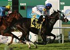 Buddy Diliberto Memorial Handicap Strike Again takes on 8 in the Colonel E. R. Bradley Handicap.