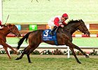 La Tia wins the Matriarch Stakes.
