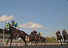 Firespike won the male division of the $100,000 OBS Championship Stakes.<br><a target="blank" href="http://photos.bloodhorse.com/AtTheRaces-1/At-the-Races-2015/i-xv3pPKL">Order This Photo</a>