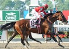 Alcomo Takes Brooklyn Handicap by a Whisker Alcomo Takes Brooklyn Handicap by a Whisker