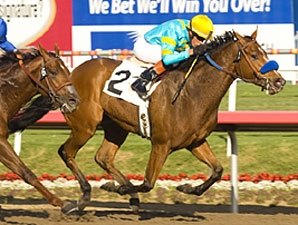 Preakness Profile: Tres Borrachos Preakness Profile: Tres Borrachos