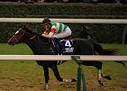 Epiphaneia wins the 2014 Japan Cup.
<br><a target="blank" href="http://photos.bloodhorse.com/AtTheRaces-1/At-the-Races-2014/i-SnbB38V">Order This Photo</a>