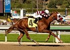 Willa B Awesome takes on six in the Melair Stakes.