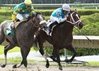 Good Morning Diva won the Calder Derby on April 14.