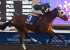 Lexie Lou won the 2013 South Ocean Stakes.
