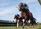 Telling<br><a target="blank" href="http://www.bloodhorse.com/horse-racing/photo-store?ref=http%3A%2F%2Fpictopia.com%2Fperl%2Fgal%3Fprovider_id%3D368%26ptp_photo_id%3D9144955%26ref%3Dstory">Order This Photo</a>
