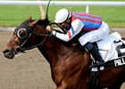 Palladio takes the Autumn Stakes under Richard Dos Ramos.