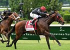 Point of Entry
<br><a target="blank" href="http://photos.bloodhorse.com/AtTheRaces-1/at-the-races-2013/27257665_QgCqdh#!i=2562999914&k=bCB9SDG">Order This Photo</a>