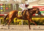 Euroears wins the Bing Crosby.