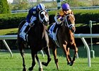 Habaya (left) invades Hollywood Park for the Miesque.
