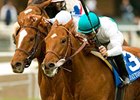 Hollywood Derby winner Daytona heads a field of eight in the Shoemaker Mile.