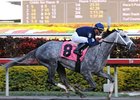 Dunkirk has been retired from racing for stallion duty at Ashford Stud. <br><a target="blank" href="http://www.bloodhorse.com/horse-racing/photo-store?ref=http%3A%2F%2Fpictopia.com%2Fperl%2Fgal%3Fprovider_id%3D368%26ptp_photo_id%3D7783562%26ref%3Dstory">Order This Photo</a>