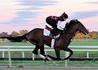 Orb Breezes Five Furlongs at Fair Hill Orb Breezes Five Furlongs at Fair Hill