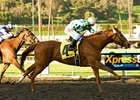 Late-running Striking Dancer got the upset win in the La Canada Stakes at Santa Anita.<br><a target="blank" href="http://www.bloodhorse.com/horse-racing/photo-store?ref=http%3A%2F%2Fpictopia.com%2Fperl%2Fgal%3Fprovider_id%3D368%26ptp_photo_id%3D8793582%26ref%3Dstory">Order This Photo</a>