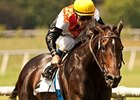 Marketing Mix beat the boys in her last start in the Sunset Handicap.