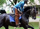 Cozmic One<br><a target="blank" href="http://photos.bloodhorse.com/AtTheRaces-1/At-the-Races-2014/i-8XpcSrv">Order This Photo</a>