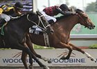 Artie Hot overtakes favorite True Metropolitan to win the Chinese Cultural Centre Seagram Cup at Woodbine.