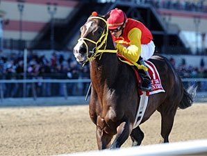 Trinniberg Now Likely For Derby Trinniberg Now Likely For Derby
