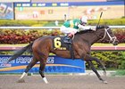 Dust and Diamonds powers home to victory in the Sugar Swirl.<br><a target="blank" href="http://photos.bloodhorse.com/AtTheRaces-1/at-the-races-2012/22274956_jFd5jM#!i=2261103678&k=GWvQp8K">Order This Photo</a>