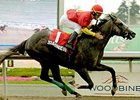 Southern Exchange won the Colin Stakes at Woodbine July 19.