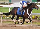 Pyro got in his final major preparation for the March 8 Louisiana Derby (gr.II) in Monday morning at the New Orleans track.<br><a target="blank" href="http://www.bloodhorse.com/horse-racing/photo-store?ref=http%3A%2F%2Fpictopia.com%2Fperl%2Fgal%3Fprovider_id%3D368%26ptp_photo_id%3D3741908%26ref%3Dstory">Order This Photo</a>