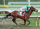 Csaba wins the Harlan's Holiday Stakes.