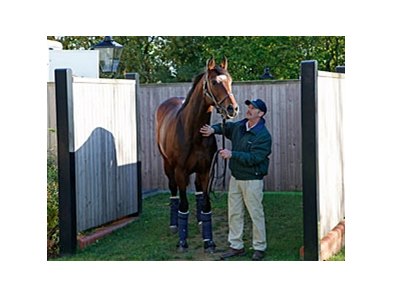 Frankel