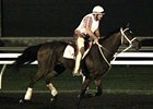 A Pre Pre-Entries Look at Breeders' Cup Odds A Pre Pre-Entries Look at Breeders' Cup Odds