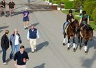 Tradition is Strong Behind Orb Tradition is Strong Behind Orb