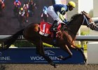 Roxy Gap won the Hendrie on the Woodbine Polytrack earlier this year.