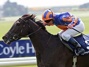 Halfway To Heaven Soars in 1,000 Guineas Halfway To Heaven Soars in 1,000 Guineas
