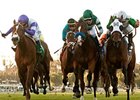 Scarlet Strike (right) has been grade I-placed three times in her career.