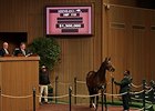 GI Winner Nereid Fetches $1.3 Million GI Winner Nereid Fetches $1.3 Million